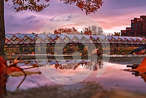Fall Foliage By The Peace Bridge At Sunrise