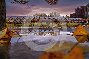Fall Foliage By The Peace Bridge At Sunrise