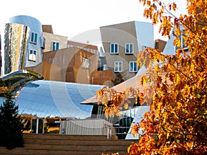 Fall Foliage and Stata Center on the MIT Campus, Cambridge, MA photo