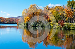 Rechazar hojas refleja en azul peine 