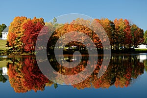 Fall foliage reflecting in lake