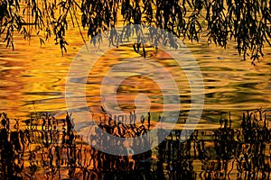 Fall foliage reflecting in pond