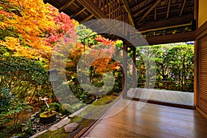 Fall Foliage in Ryoan-ji Temple in Kyoto