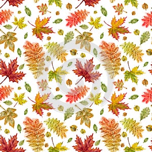 Fall Foliage Seamless Pattern on White Background.