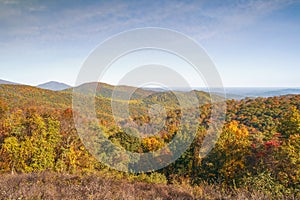 Fall foliage in Shenandoah National Park.Virginia.USA photo