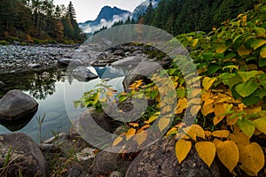 Fall Foliage on the Shore of the Skykomish River, Washington State