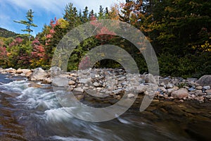 Fall Foliage and Stream in White Mountains National Forest