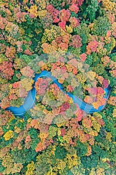 Fall Foliage - Vermont