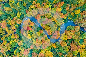 Fall Foliage - Vermont