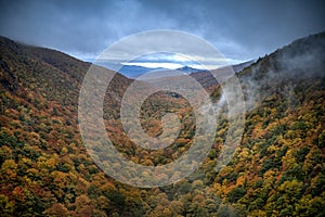 Fall Foliage - Vermont