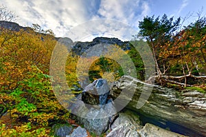 Fall Foliage Vermont