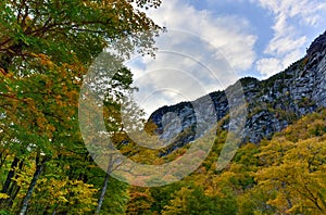 Fall Foliage Vermont