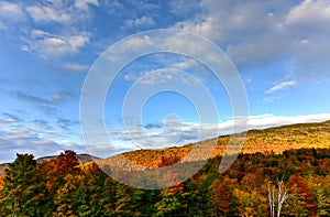 Fall Foliage Vermont