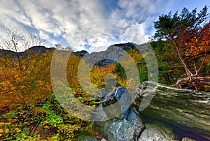 Fall Foliage Vermont