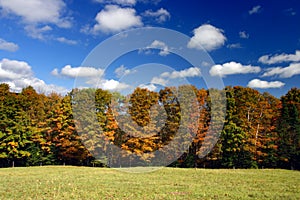 Fall foliage at Vermont, USA