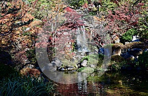 Fall Foliage And The Waterfall at Anderson Japanese Garden #1