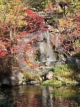 Fall Foliage And Waterfalll at Anderson Japanese Garden #2