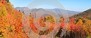 Fall foliage in White mountain national park