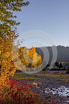 Sun highlights the autumn colored trees along the Naches River.