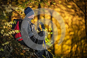 Fall Forest Hiking