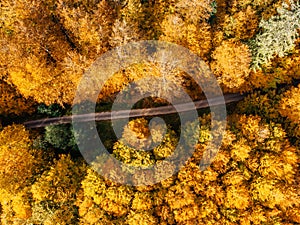 Fall forest landscape with rural road view from above. Colorful nature background. Autumn forest aerial drone view.Idyllic fall