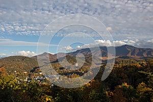 Fall forest and mountains