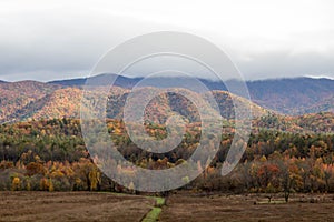 Fall forest and mountains