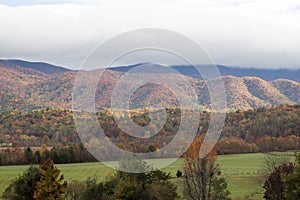 Fall forest and mountains