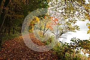Fall forest path at Danube river bank