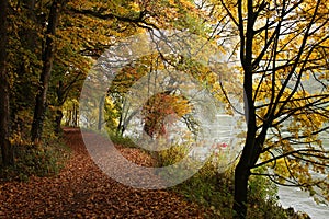 Fall forest path at Danube river bank