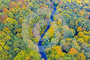 Fall forest road from above