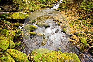 Fall forest stream Elomovsky in russian Lazo reserve