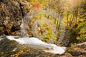 Fall forest waterfall stream Elomovsky in russian Primorye