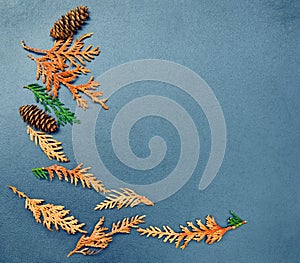 Fall frame, cones, cedar, arborvitae