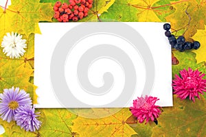 Fall frame with flowers and berries