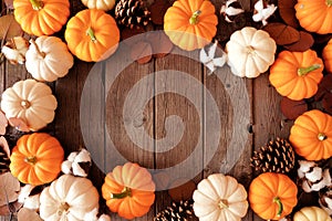 Fall frame of orange and white pumpkins with autumn decor over a rustic dark wood background