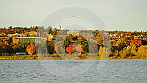 Fall in Fredericton, Canada photo