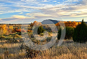 Fall in Galisteo New Mexico