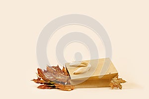 Fall Gift or Sale concept. Shopping paper bag, autumn decor.