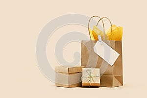 Fall Gift or Sale concept. Shopping paper bag, autumn decor.