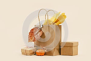 Fall Gift or Sale concept. Shopping paper bag, autumn decor pumpkins.