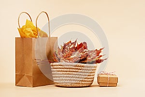 Fall Gift or Sale concept. Shopping paper bag, autumn decor pumpkins.