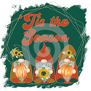 Fall Gnomes with sunflower and pumpkin Illustration. Autumn sublimation design