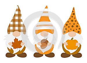 Fall Gnomes vector illustration. Thanksgiving Gnomes