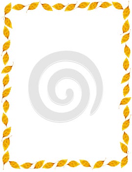 Fall Golden Elm Leaf Frame or Border