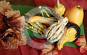 Fall Gourds and Leaves