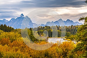 Fall in Grant Tetons National Park