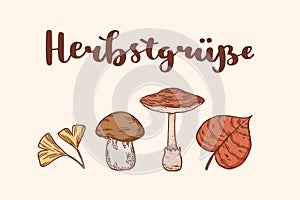 Fall greetings seasonal banner design. Mushrooms and autumn leaves. Vector illustratio