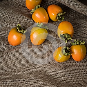 Fall Hachiya Persimmons centered in Rustic Still Life on Brown Burlap with room or space for copy, text or your words. Square shot photo