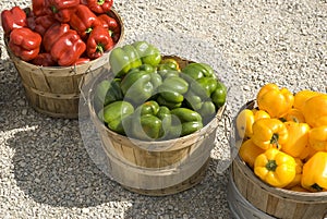 Fall harvest